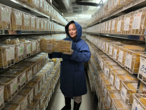 Почему регулярное донорство очень важно?