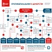 Инфографика для донора