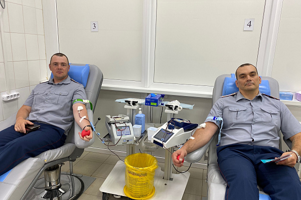 Спасают жизни вместе