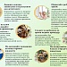 Месячник профилактики детского травматизма проходит на Окружной станции переливания крови
