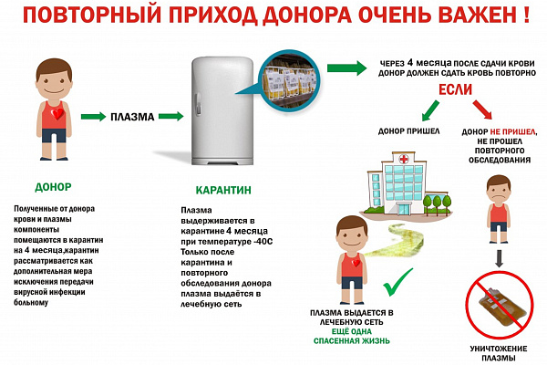 Почему регулярное донорство так важно?