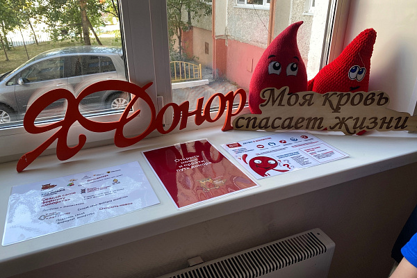 Донорское наставничество