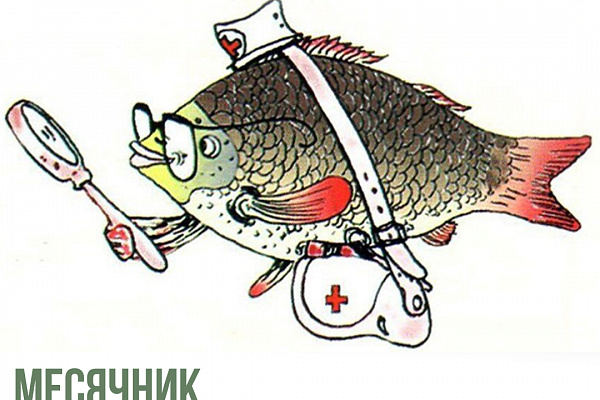 Апрель на Окружной станции переливания крови посвящен профилактике краевых патологий