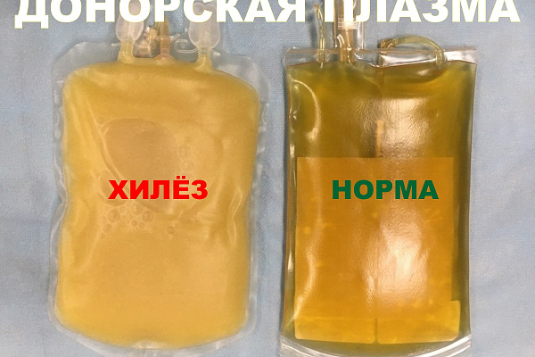 О работе на январских каникулах