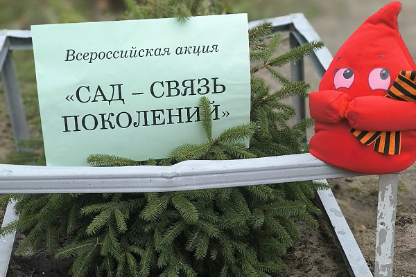 Зеленые символы памяти
